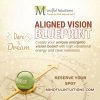 Aligned Vision Blueprint Workshop with Pooja Grover - Mindful Intuitions