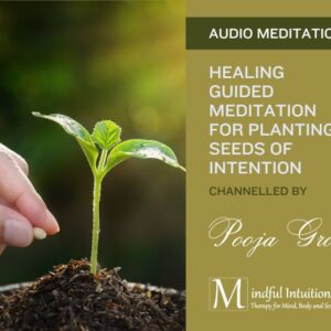 Guided Meditation for Planting Seeds of Intention
